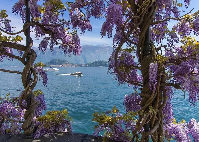Garibaldi View Lejlighed